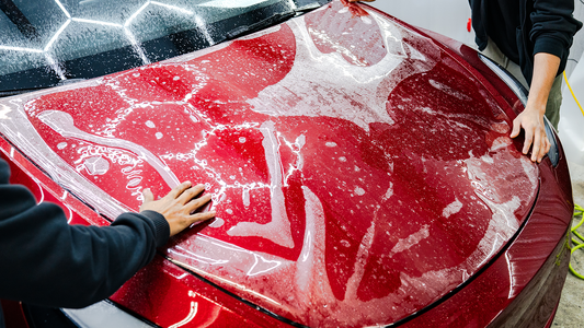 TRAINING: Paint Protection Film (PPF) / Color PPF / Windshield PPF